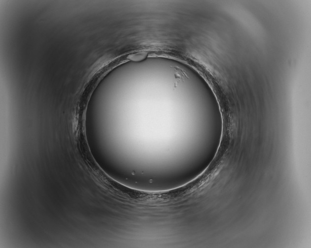 X0000096141259200801181125