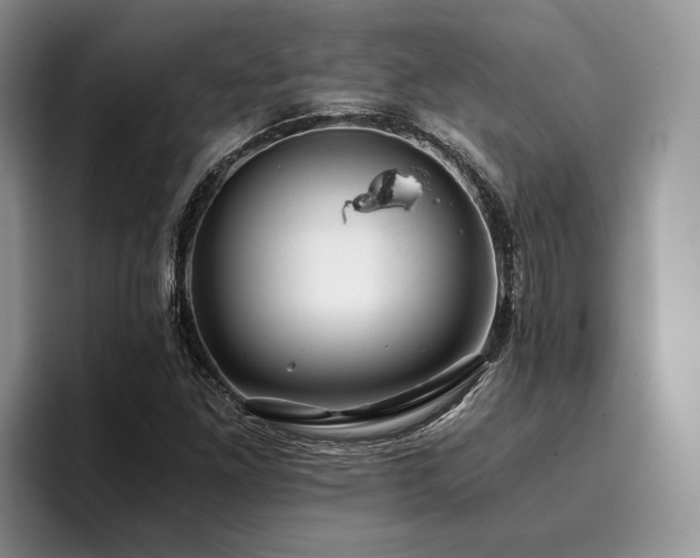 X0000096141261200801181125