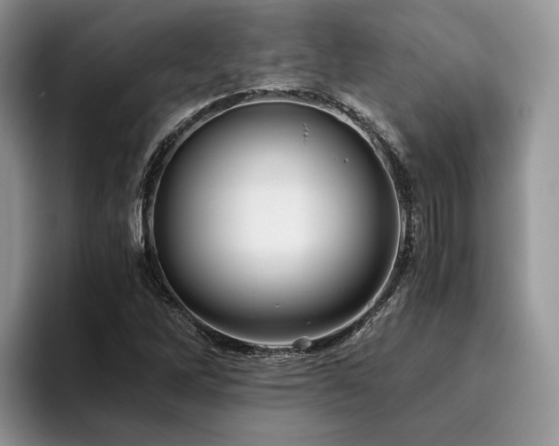 X0000096141262200801181125
