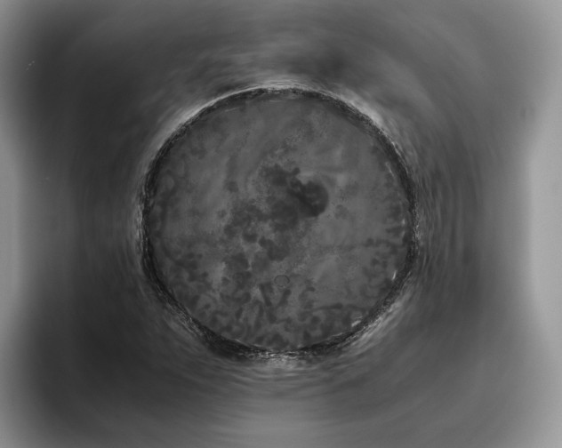 X0000096141263200801181125
