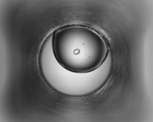 X0000096141264200801181125