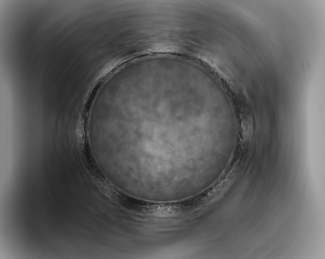 X0000096141266200801181125