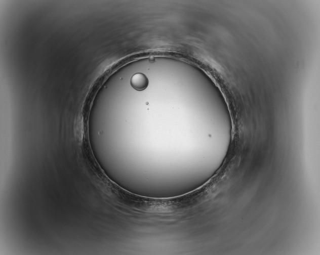 X0000096141267200801181125