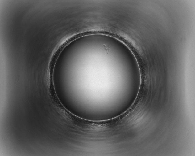 X0000096141270200801181125