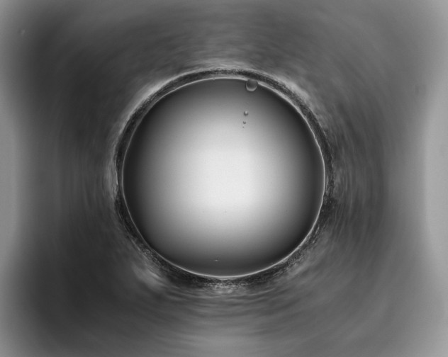 X0000096141271200801181125