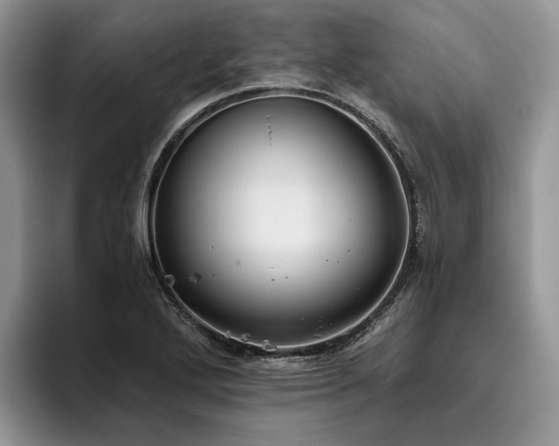 X0000096141272200801181125