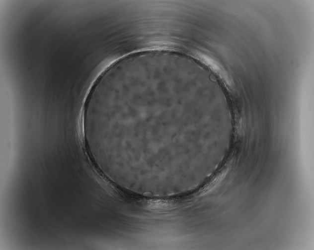 X0000096141275200801181125