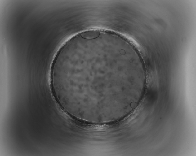 X0000096141279200801181125