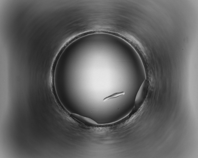 X0000096141280200801181125
