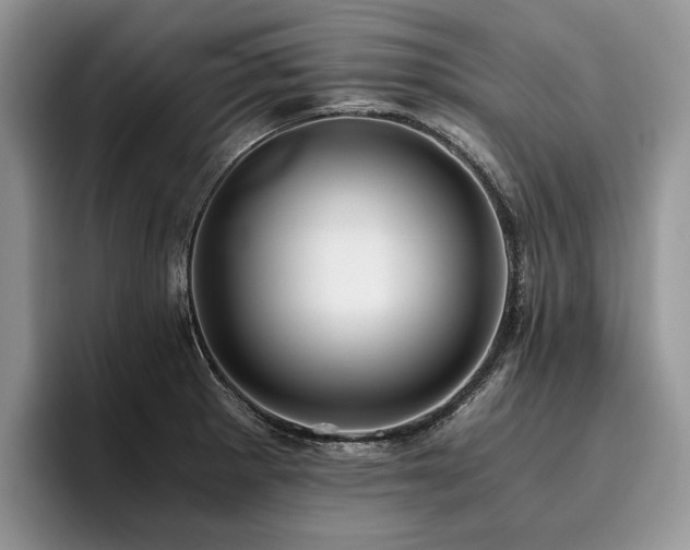X0000096141281200801181125
