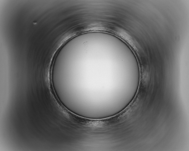 X0000096141282200801181125