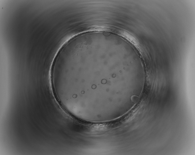 X0000096141283200801181125