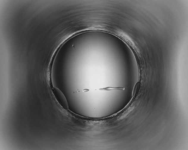 X0000096141284200801181125