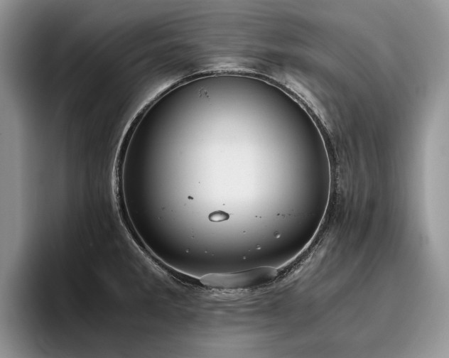 X0000096141285200801181125