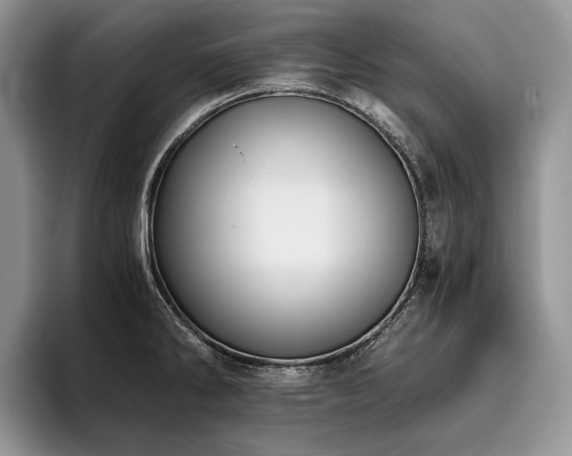 X0000096141286200801181125