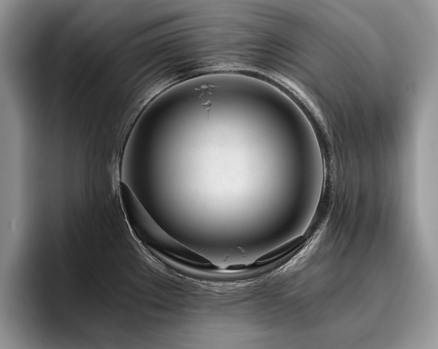 X0000096141289200801181125