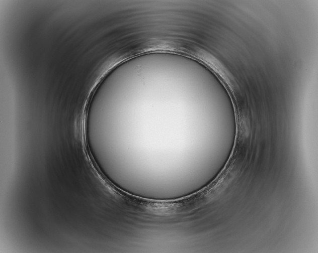 X0000096141290200801181125