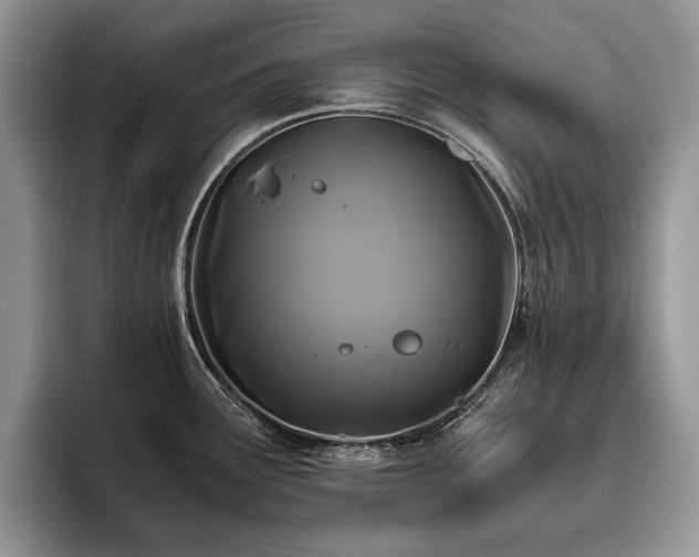 X0000096141291200801181125