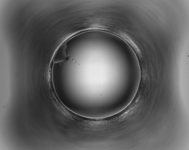 X0000096141292200801181125