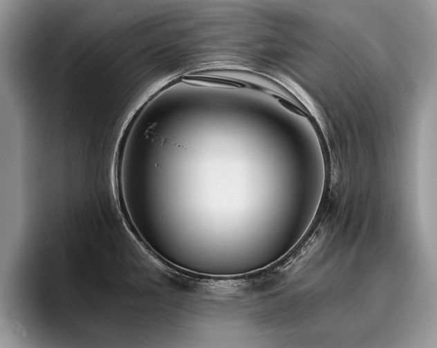 X0000096141293200801181125