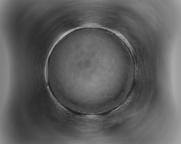 X0000096141295200801181125