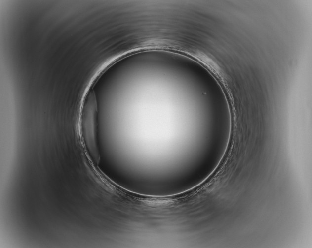 X0000096141296200801181125