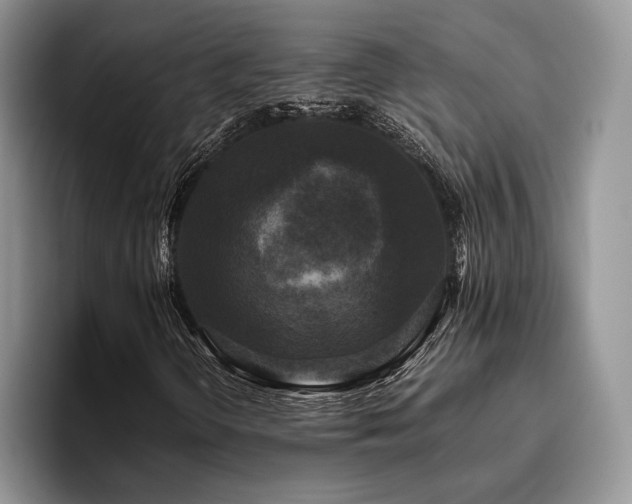 X0000096141298200801181124