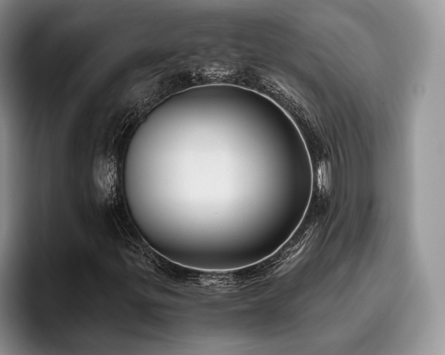 X0000096141299200801181124