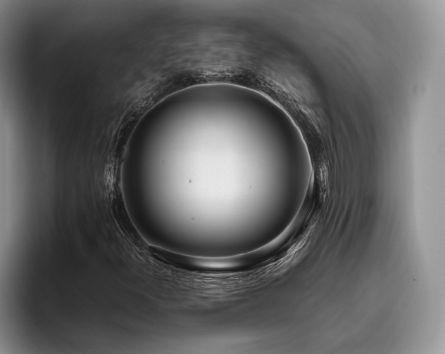 X0000096141300200801181124
