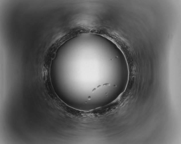 X0000096141302200801181124