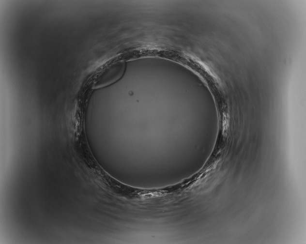 X0000096141303200801181124