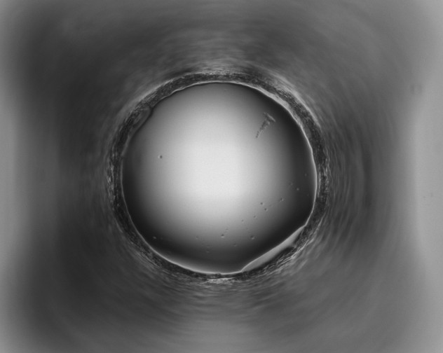 X0000096141304200801181124