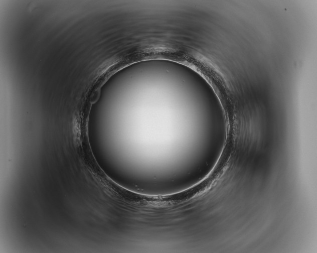 X0000096141305200801181124