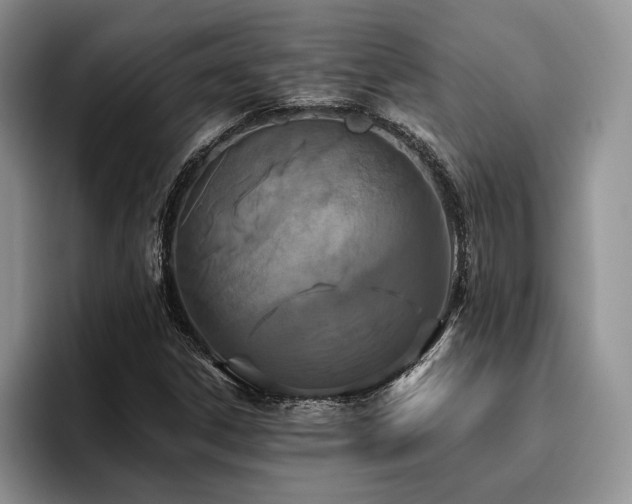 X0000096141306200801181124