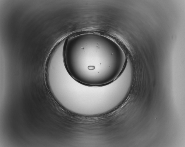 X0000096141308200801181125