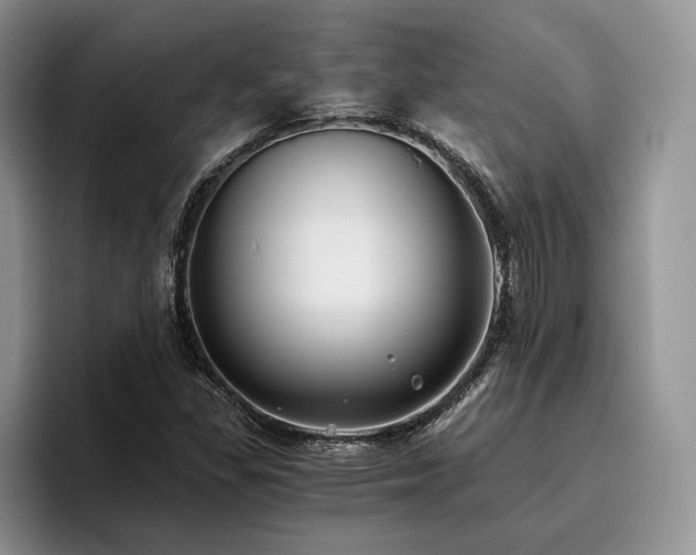 X0000096141309200801181125