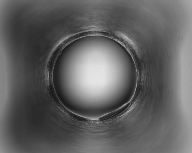 X0000096141310200801181125