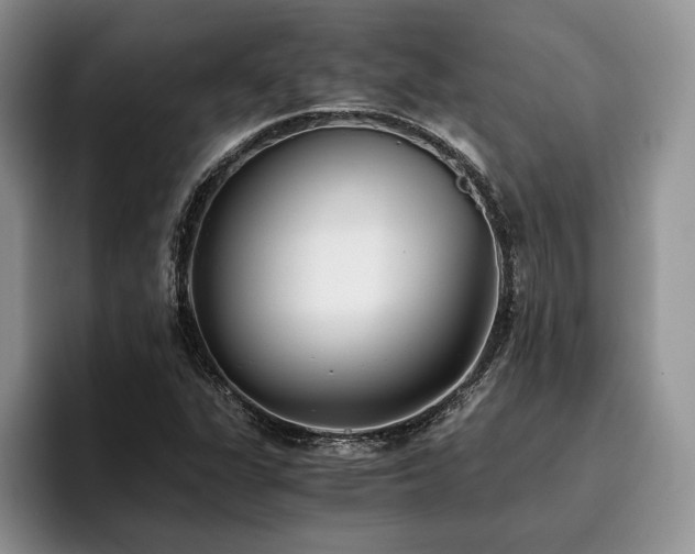 X0000096141311200801181125