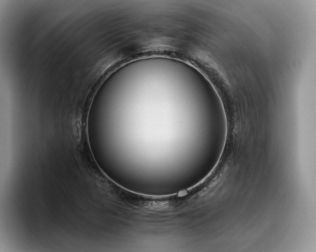 X0000096141313200801181125