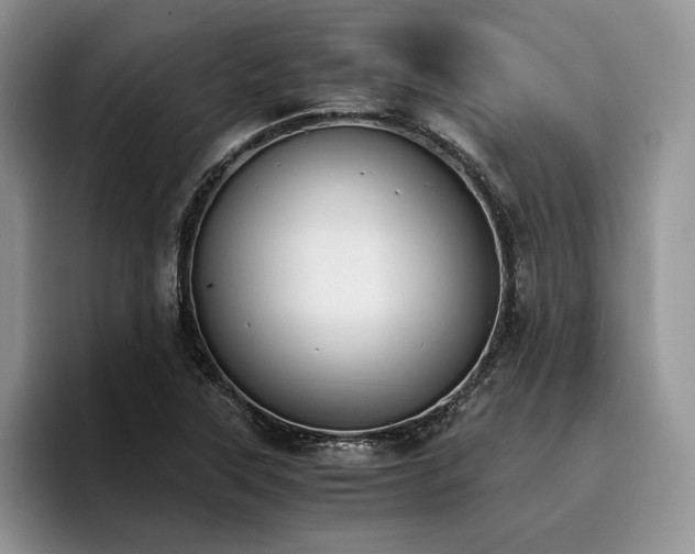 X0000096141315200801181125