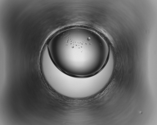 X0000096141316200801181125