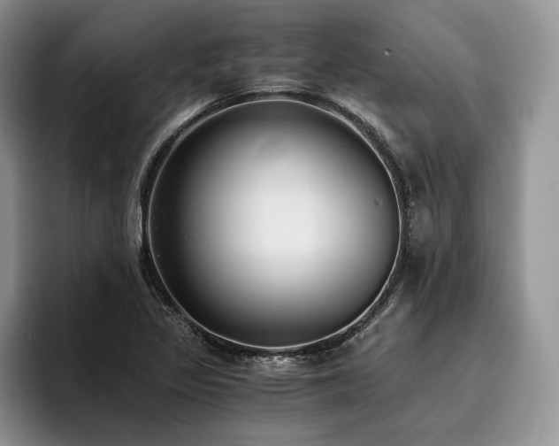 X0000096141317200801181125