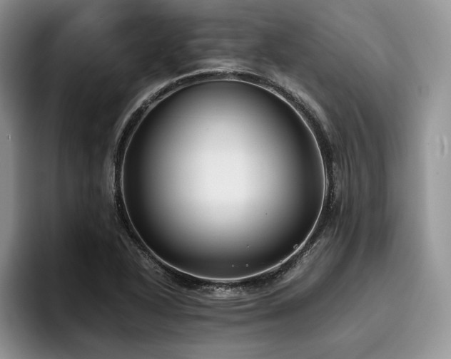 X0000096141318200801181125