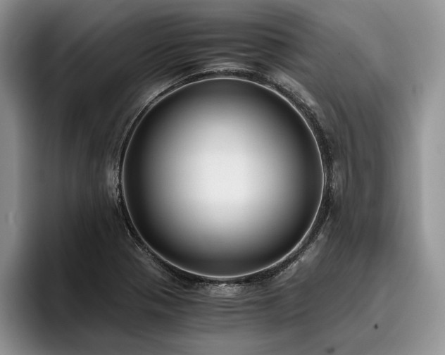 X0000096141321200801181125