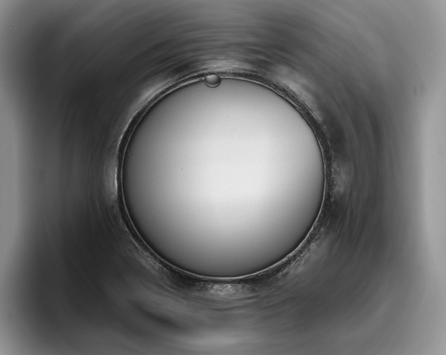 X0000096141322200801181125