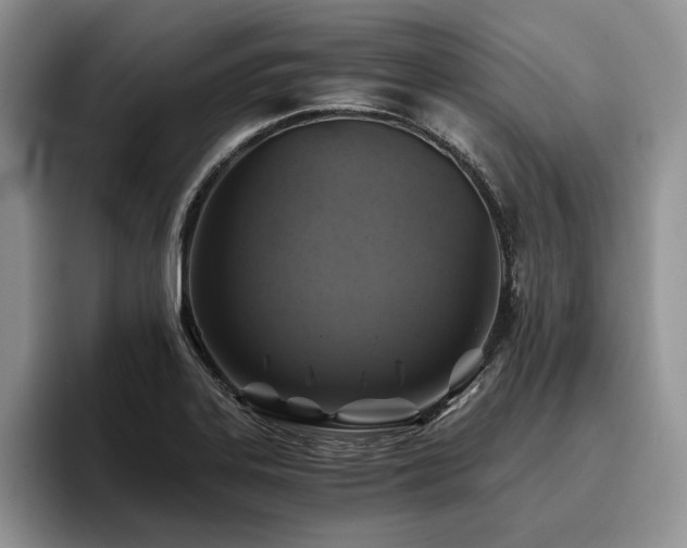 X0000096141323200801181125