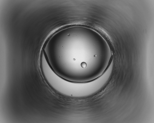 X0000096141324200801181125