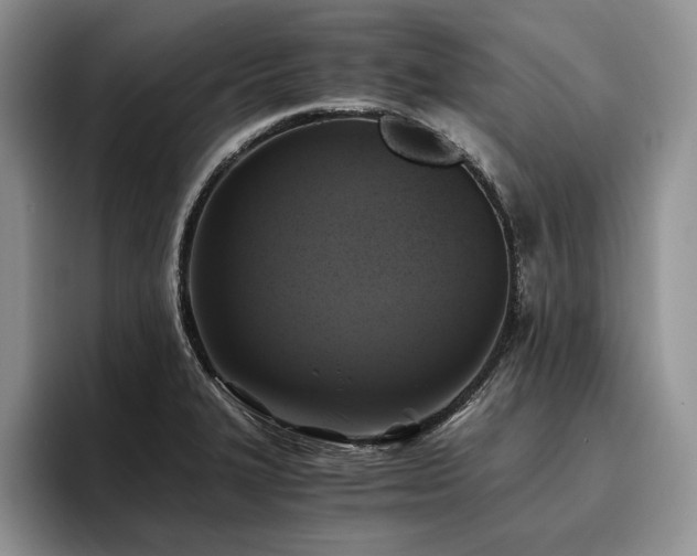 X0000096141327200801181125