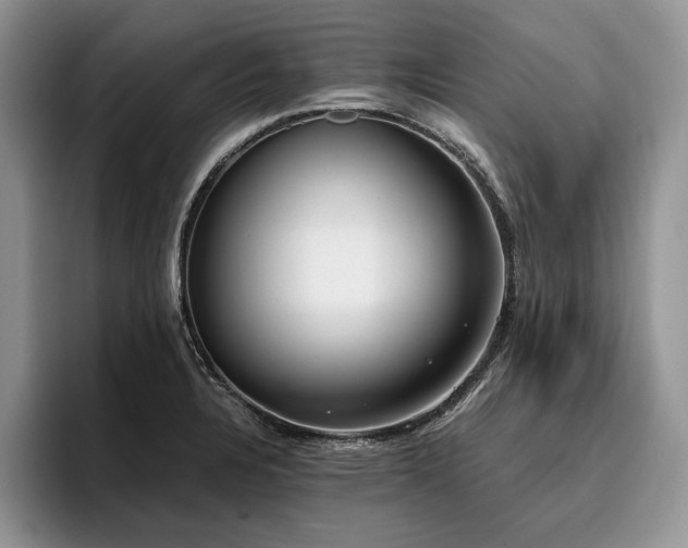 X0000096141328200801181125