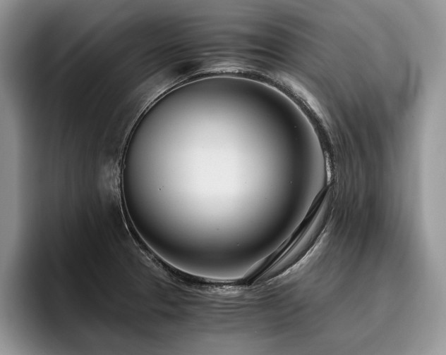 X0000096141329200801181125